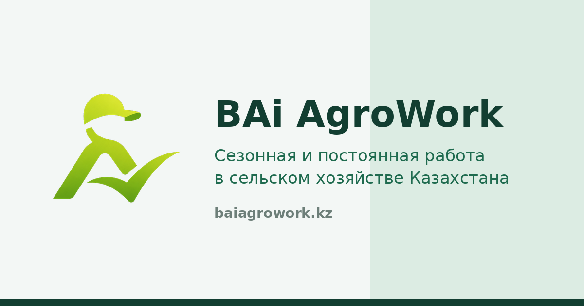 Mobile app QR code Mobile app QR code